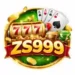 ZS999 Game