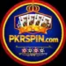 pkrspin Game
